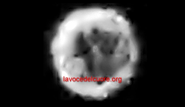Orbs - Arcangelo Michele - www.lavocedelcuore.org Orbs - Arcangelo Michele - www.lavocedelcuore.org